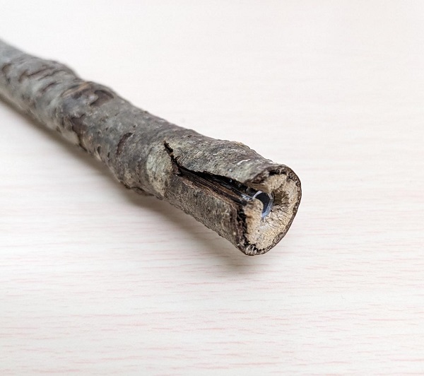 止まり木 kamiru お買得！国産 自然木止まり木 ミニ40cm（止まり木のみ）ひび割れ有②